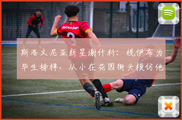 斯洛文尼亚新星谢什科：视伊布为毕生榜样，从小在花园街头模仿他的招牌动作