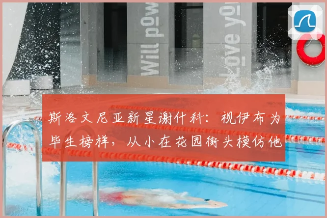 斯洛文尼亚新星谢什科：视伊布为毕生榜样，从小在花园街头模仿他的招牌动作